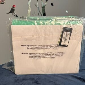 NWT‼️ Badgley Mischka Green Crossbody Bag